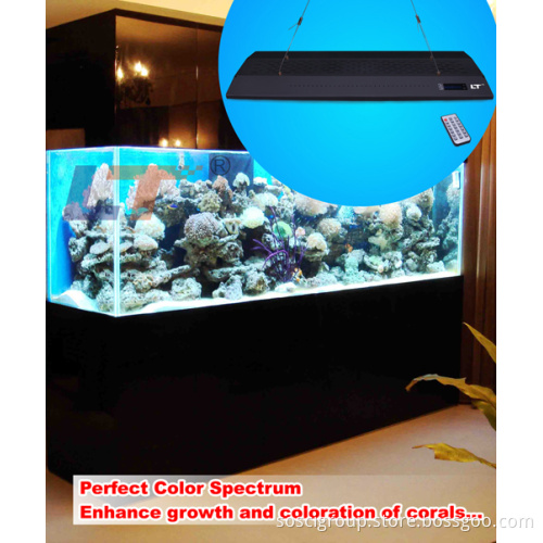 LED Aquarium Light with Timer